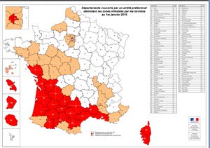 Carte infestation termites VAR